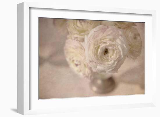 White Persian Buttercup Still Life-Cora Niele-Framed Photographic Print