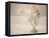 White Persian Buttercups Posy-Cora Niele-Framed Stretched Canvas