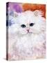 white persian cat,pets,family-sylvia pimental-Stretched Canvas