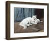 White Persian Cat with Her Kittens-Arthur Heyer-Framed Giclee Print