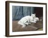 White Persian Cat with Her Kittens-Arthur Heyer-Framed Giclee Print
