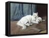 White Persian Cat with Her Kittens-Arthur Heyer-Framed Stretched Canvas