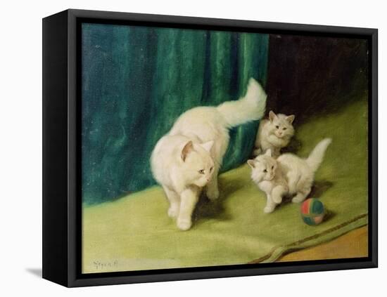 White Persian Cat with Two Kittens-Arthur Heyer-Framed Stretched Canvas