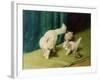 White Persian Cat with Two Kittens-Arthur Heyer-Framed Giclee Print