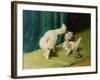 White Persian Cat with Two Kittens-Arthur Heyer-Framed Giclee Print