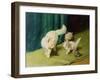 White Persian Cat with Two Kittens-Arthur Heyer-Framed Giclee Print