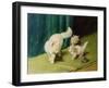 White Persian Cat with Two Kittens-Arthur Heyer-Framed Giclee Print