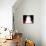 White Persian Cat-Lynn M^ Stone-Stretched Canvas displayed on a wall
