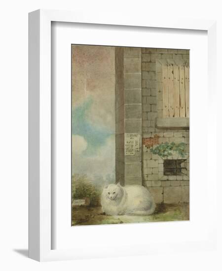 White Persian Cat-Laslett John Pott-Framed Giclee Print