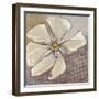 White Petals 1-Walela R.-Framed Art Print