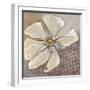 White Petals 1-Walela R.-Framed Art Print