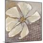 White Petals 1-Walela R.-Mounted Art Print