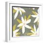 White Petals II-Melissa Wang-Framed Art Print