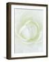 White Petals of Flower-Clive Nichols-Framed Photographic Print