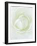 White Petals of Flower-Clive Nichols-Framed Photographic Print