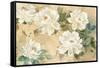 White Petals-Jil Wilcox-Framed Stretched Canvas