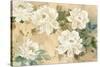 White Petals-Jil Wilcox-Stretched Canvas