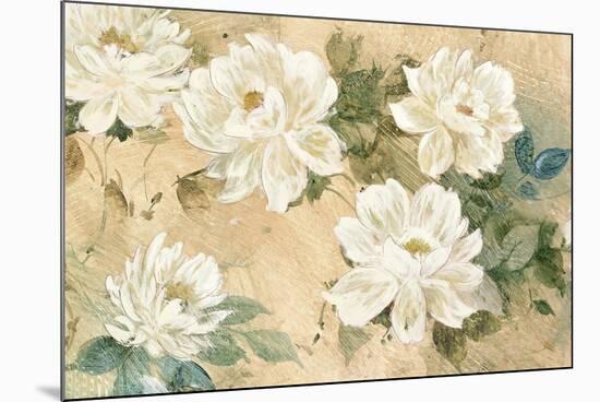 White Petals-Jil Wilcox-Mounted Art Print