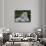 White Phase of the Bengal Tiger-Adam Jones-Photographic Print displayed on a wall