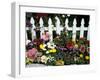 White Picket Fence and Flowers, Sammamish, Washington, USA-Darrell Gulin-Framed Premium Photographic Print