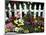 White Picket Fence and Flowers, Sammamish, Washington, USA-Darrell Gulin-Mounted Premium Photographic Print