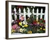 White Picket Fence and Flowers, Sammamish, Washington, USA-Darrell Gulin-Framed Photographic Print