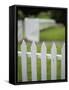 White Picket Fence-null-Framed Stretched Canvas