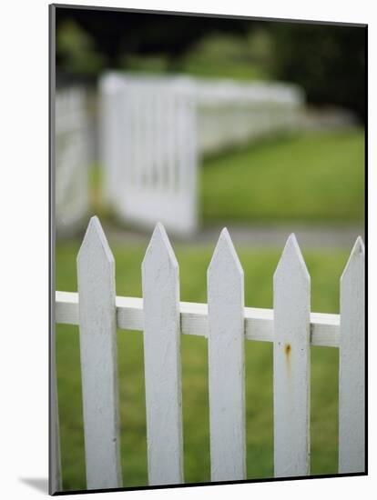 White Picket Fence-null-Mounted Photographic Print