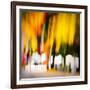 White Picket Fence-Ursula Abresch-Framed Photographic Print