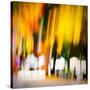 White Picket Fence-Ursula Abresch-Stretched Canvas