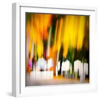 White Picket Fence-Ursula Abresch-Framed Photographic Print