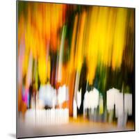 White Picket Fence-Ursula Abresch-Mounted Photographic Print