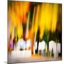 White Picket Fence-Ursula Abresch-Mounted Photographic Print