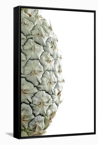 White Pineapple-Neal Grundy-Framed Stretched Canvas