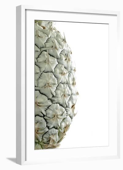 White Pineapple-Neal Grundy-Framed Premium Photographic Print