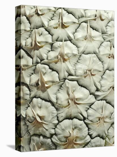 White Pineapple-Neal Grundy-Stretched Canvas