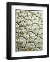 White Pineapple-Neal Grundy-Framed Premium Photographic Print