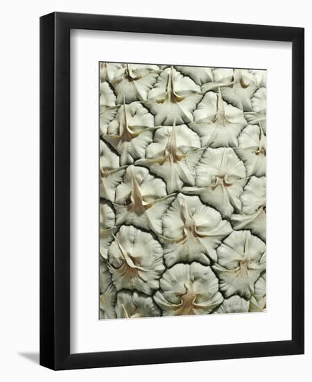 White Pineapple-Neal Grundy-Framed Premium Photographic Print