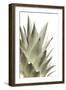 White Pineapple-Neal Grundy-Framed Premium Photographic Print