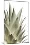 White Pineapple-Neal Grundy-Mounted Premium Photographic Print