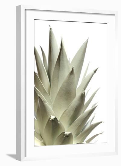 White Pineapple-Neal Grundy-Framed Premium Photographic Print
