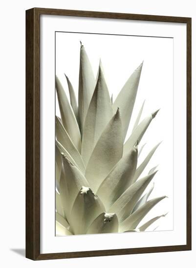 White Pineapple-Neal Grundy-Framed Premium Photographic Print