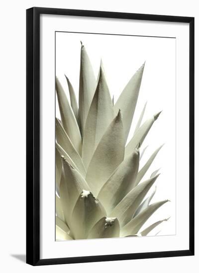 White Pineapple-Neal Grundy-Framed Premium Photographic Print