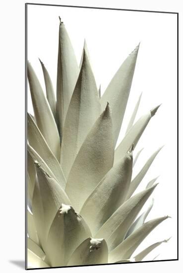 White Pineapple-Neal Grundy-Mounted Premium Photographic Print