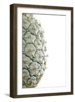 White Pineapple-Neal Grundy-Framed Photographic Print