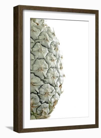 White Pineapple-Neal Grundy-Framed Photographic Print