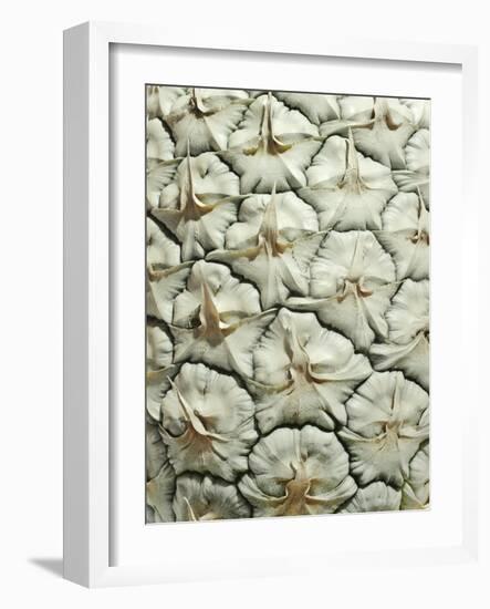 White Pineapple-Neal Grundy-Framed Photographic Print