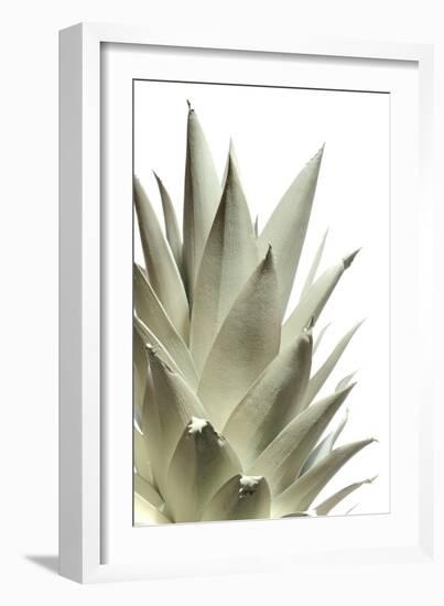 White Pineapple-Neal Grundy-Framed Photographic Print