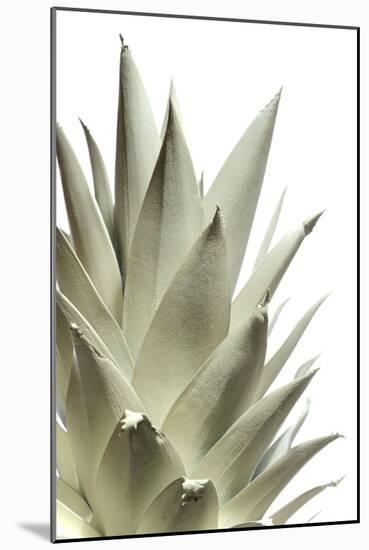 White Pineapple-Neal Grundy-Mounted Photographic Print