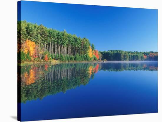 White Pines and Hardwoods, Meadow Lake, New Hampshire, USA-Jerry & Marcy Monkman-Stretched Canvas